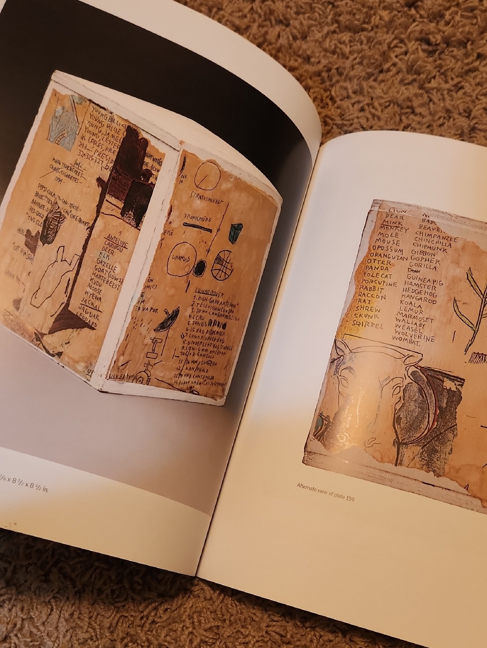 Basquiat: The Unknown Notebooks Paperback - Picture 5 of 11